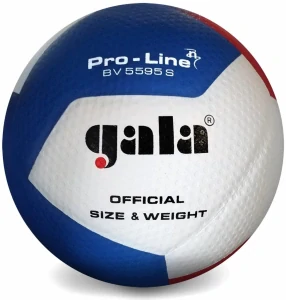 Volejbalový míč Pro Line - BV 5595 S