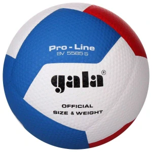 Volejbalový míč Pro Line - BV 5585 S